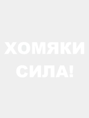 Наклейка на автомобиль хомяки сила hamster