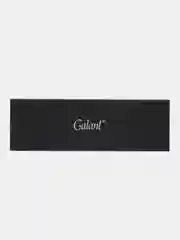 Ручка шариковая подарочная мужчине Galant Epsilon  в красивом футляре, синяя