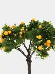 Манго деревья искусственные маленькие, фигурки для создания миниатюрных поделок, макетов