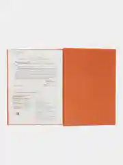 Приключения будущих богатырей