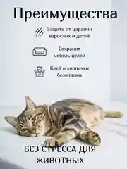 Белый антицарапки / пластиковые колпачки / накладки на когти / мягкие когти для кошек