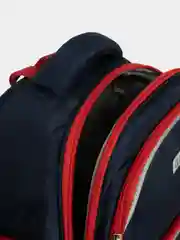 Рюкзак школьный, детский портфель ортопедический Brauberg легкий каркас, Lion 228829