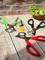 Ножницы для вскрытия перепелиных яиц