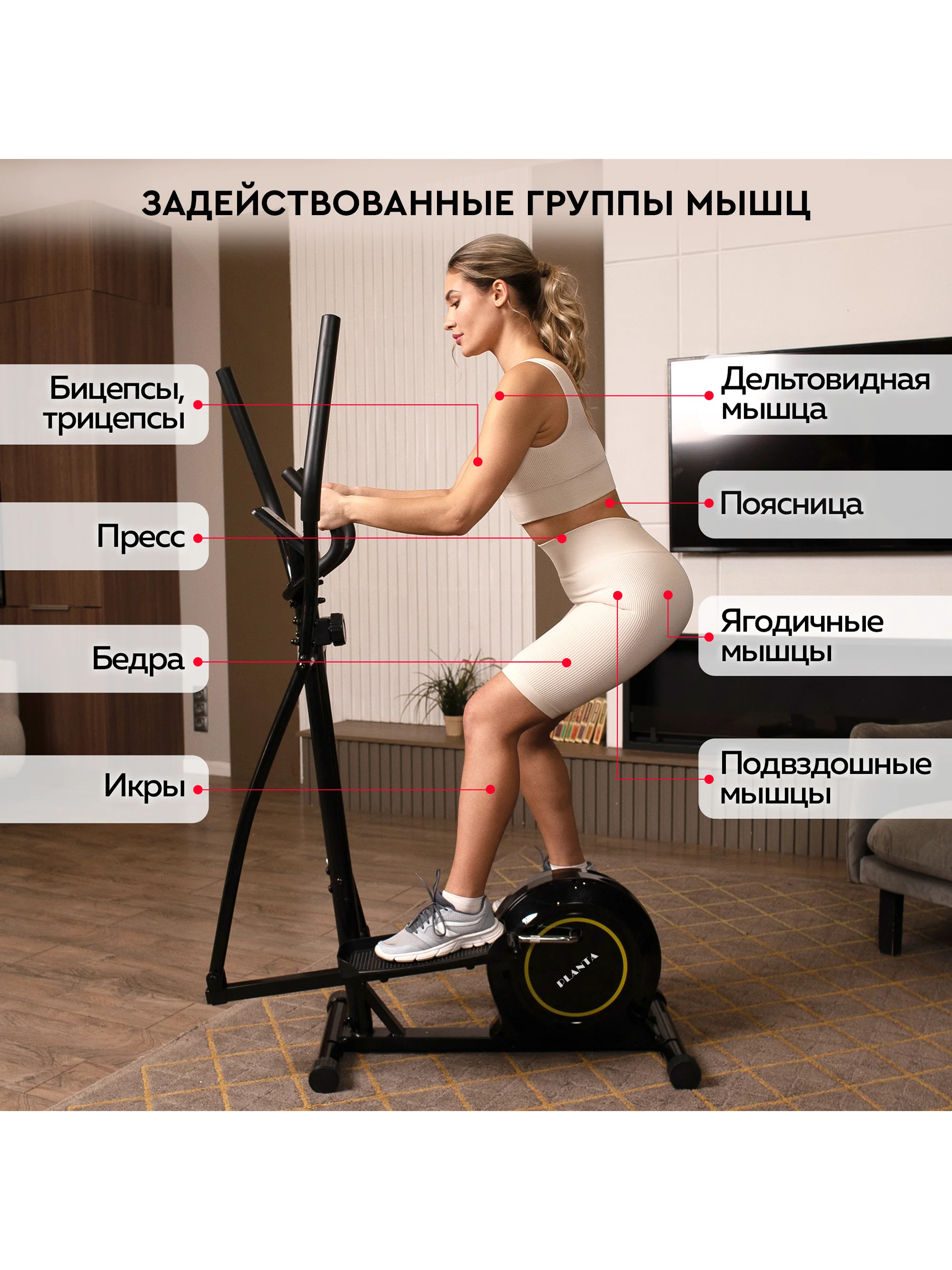 Эллиптический тренажер для дома Planta FD-Е500, магнитный