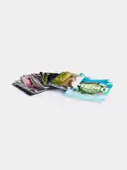 Мемо Нескучные игры "Беларусь", 50 карточек