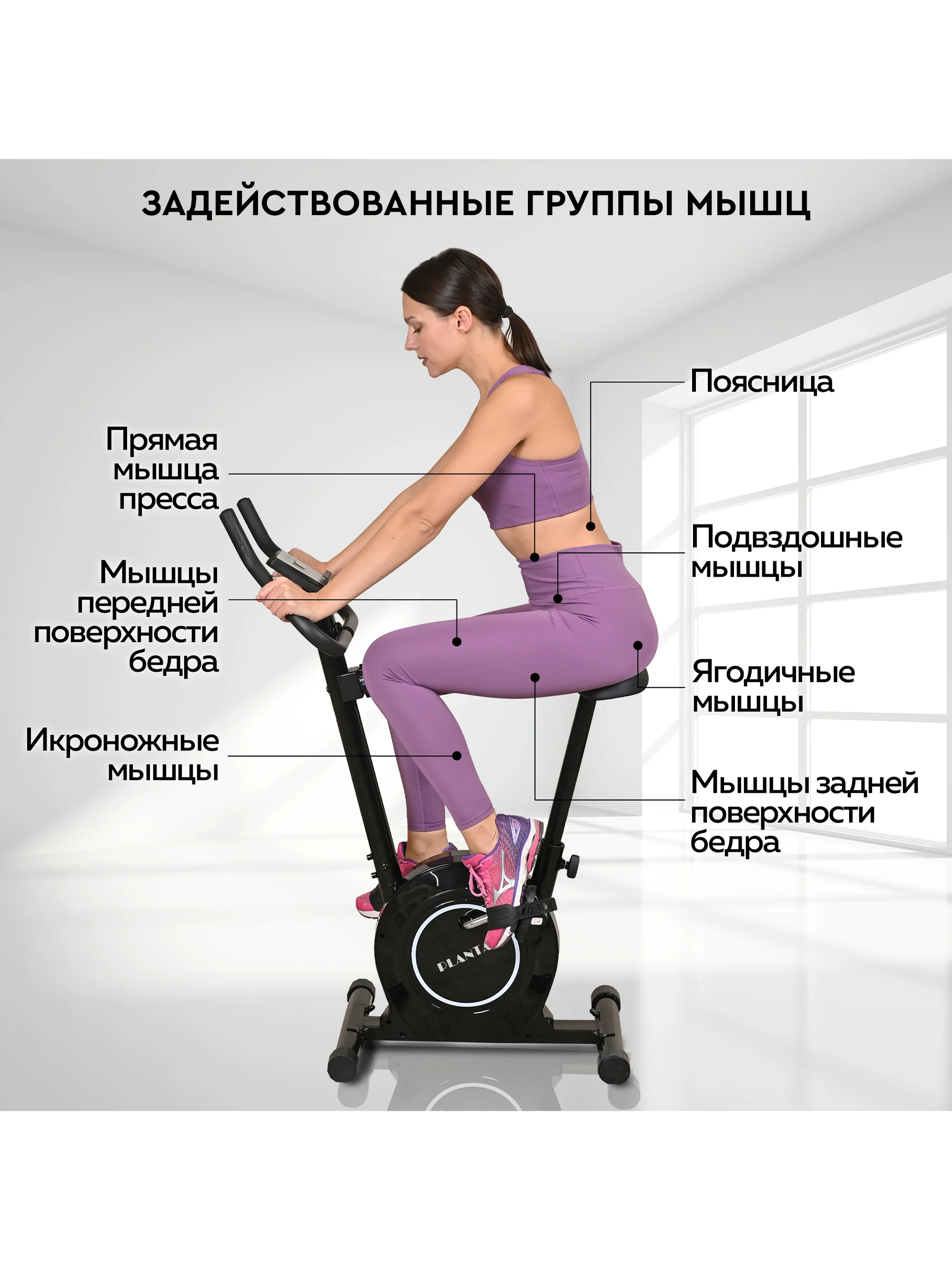 Велотренажер для дома магнитный PLANTA FD-BIKE-100