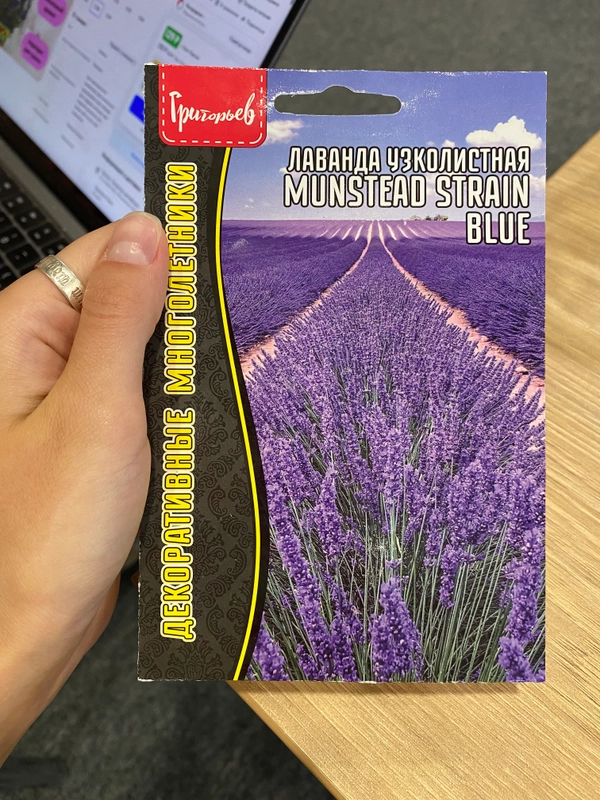 Лаванда узколистая Munstead strain blue