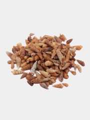 РАКУШКИ мини-спираль, фр. 0,3-1 см, 5 гр