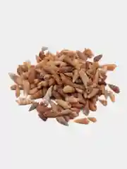 РАКУШКИ мини-спираль, фр. 0,3-1 см, 5 гр