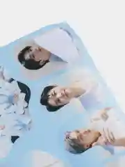 Пурпурный наклейки Стикерпак K-POP Stray Kids(Стрей Кидс),Blackpink(Блэкпинк),BTS (БТС) 12 листов