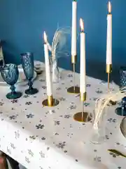Скатерть клеёнка Fabiana 110 х 140 см