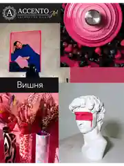 Краска акриловая художественная матовая Вишня 100мл AccentO ART