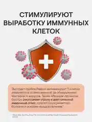 БАД к пище 4fresh "грибы Рейши", комплекс, 60 таблеток