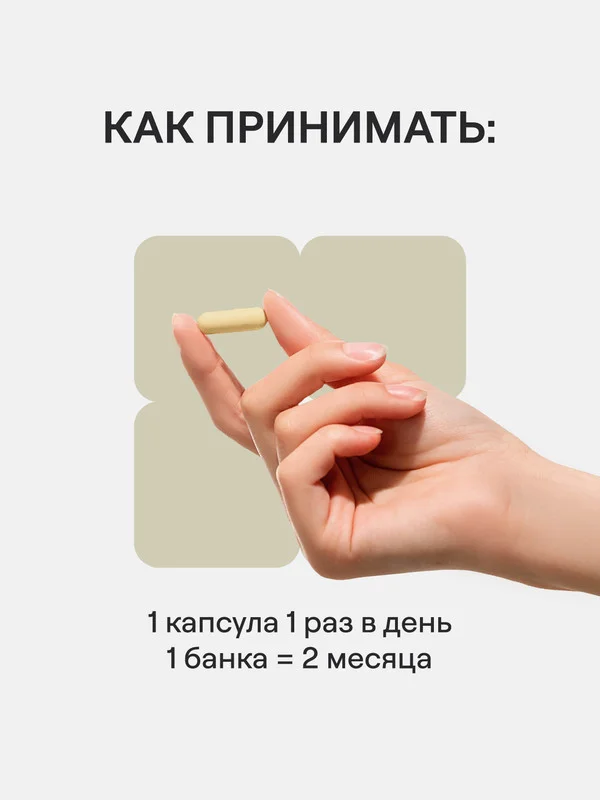 БАД к пище 4fresh "Ежовик гребенчатый", 60 капсул