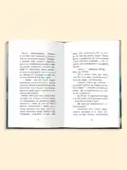 Книга для детей, детский детектив 7+ "Питер и Лила ведут расследование" 96 стр. Проф-Пресс