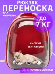 Красный рюкзак переноска для кошек и собак