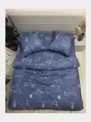 Постельное белье 1,5 сп / 2 спальное / евро / семейный Бязь ivSubelIa" Котики", 70x70