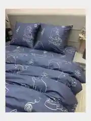 Постельное белье 1,5 сп / 2 спальное / евро / семейный Бязь ivSubelIa" Котики", 70x70