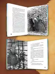 Книга детский детектив 7+ "Сокровище Эйланда" 144 стр. Проф-Пресс