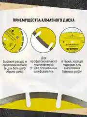 Диск алмазный сегмент по асфальту "Мастер" 350 х 10 х 25.4/22.23 мм, Чеглок