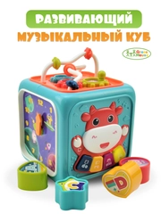 Развивающая игрушка Кубик для малыша 6 в 1 Бизиборд Сортер