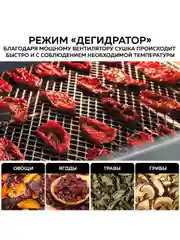 Многофункциональная мини-печь с функцией аэрогриля GFGRIL GFAO-750, шашлычница