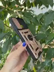 Розовый чехол противоударный armors для Xiaomi Redmi 12C / Редми 12С с защитой камеры