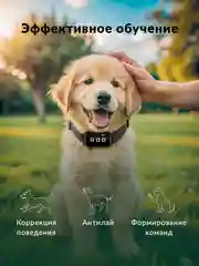 Ошейник Smart электронный дрессировочный для собак