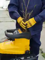 Садовый измельчитель электрический  Partner for Garden EGS 3000G (3 кВт, 4500 об/мин,60 л)