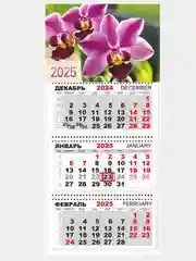 Красный квартальный календарь на 2025 год. Природа,пейзажи,животные,горы,водопады,цветы.натюморты,