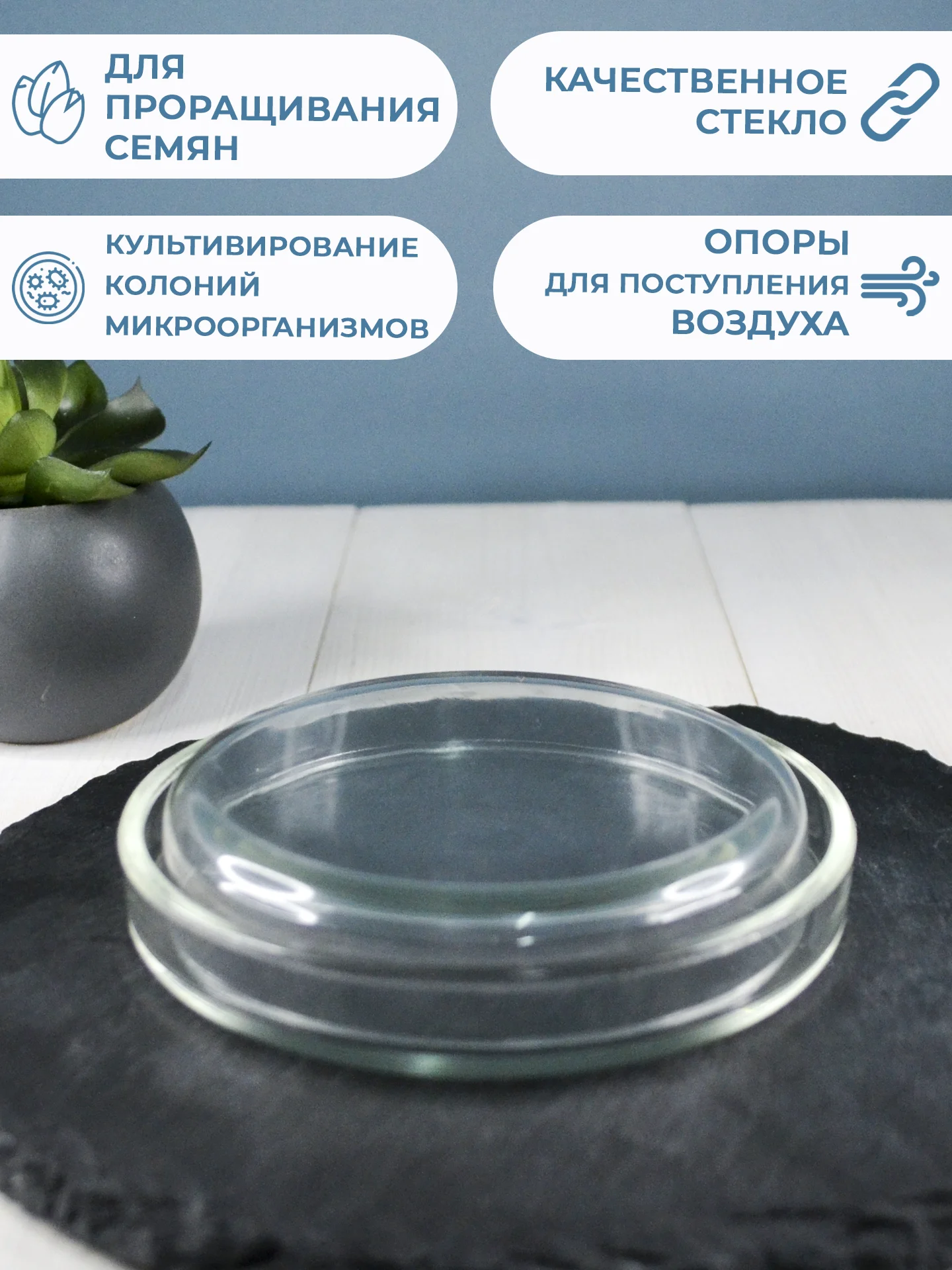 Чашка Петри стеклянная (100х20) 1шт