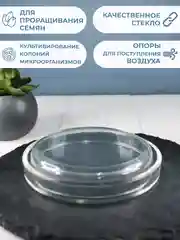 Чашка Петри стеклянная (100х20) 1шт