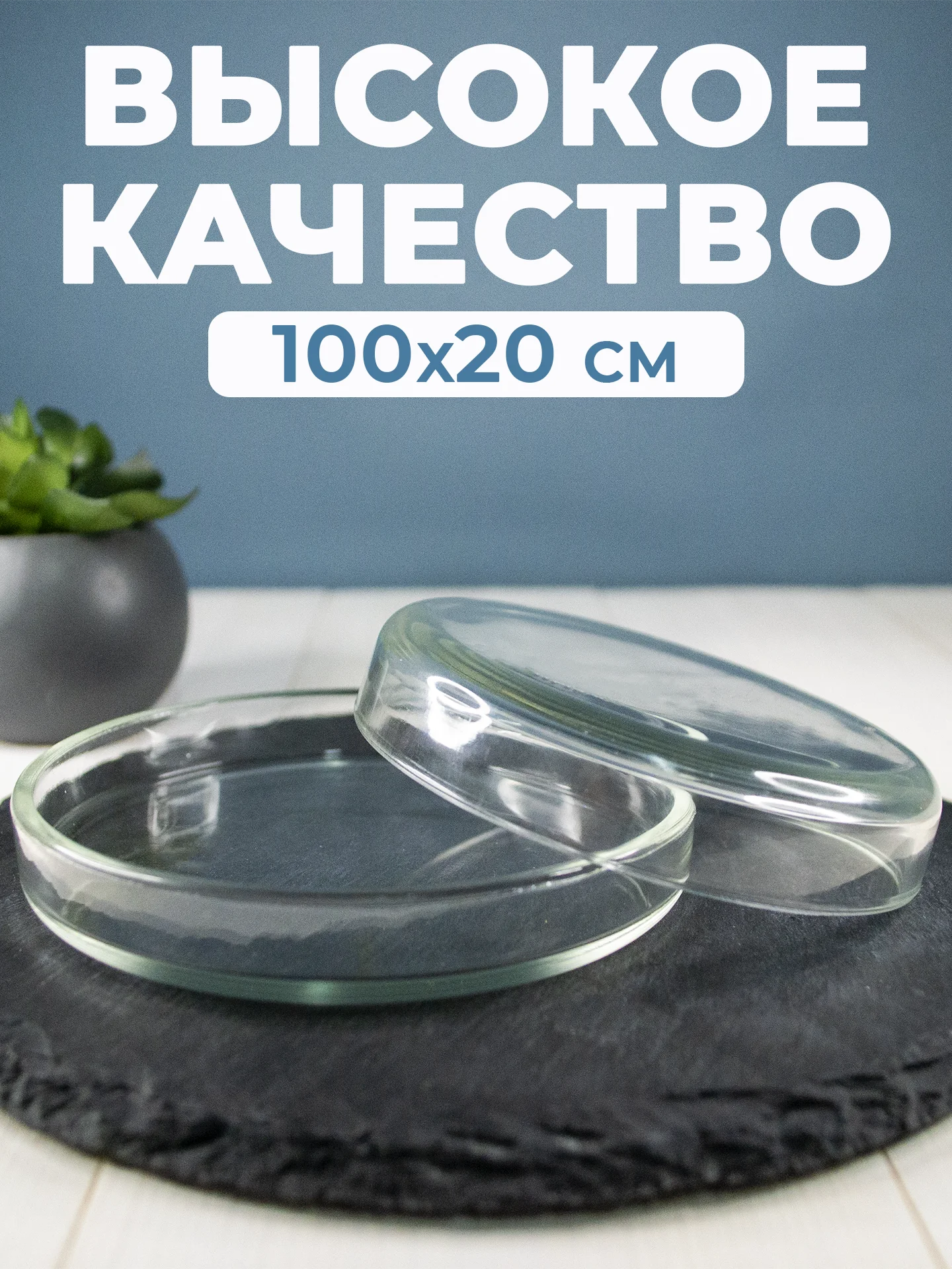 Чашка Петри стеклянная (100х20) 1шт