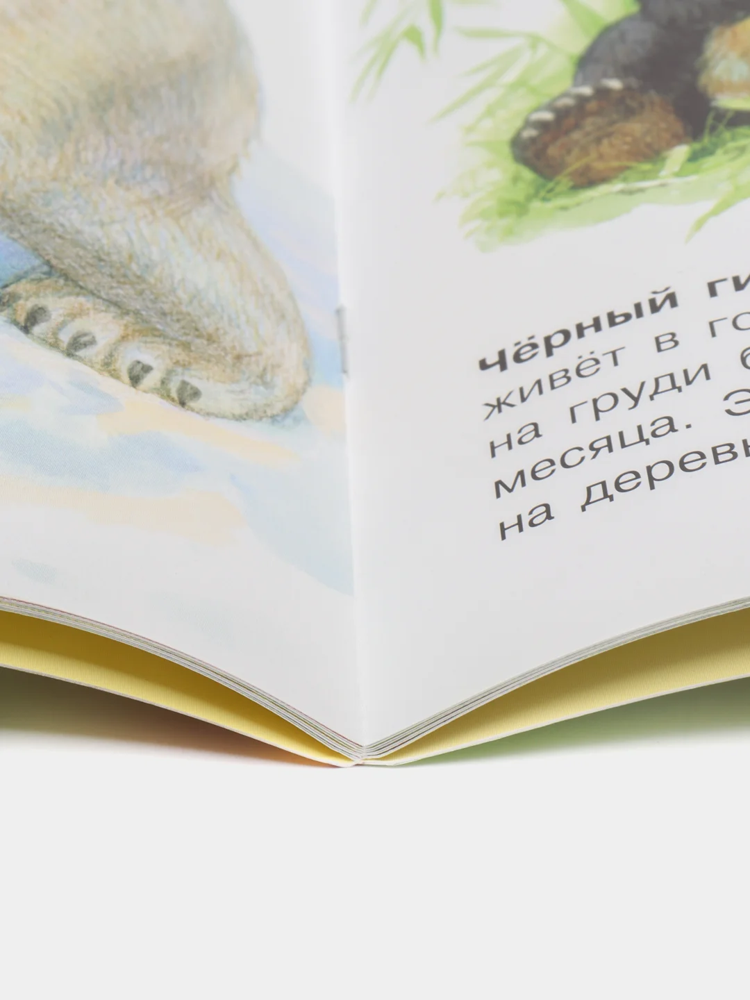 Энциклопедия дошкольника (F) - Животные