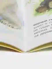 Энциклопедия дошкольника (F) - Животные