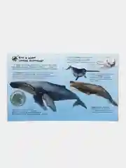 Энциклопедия дошкольника (F) - Океаны и моря