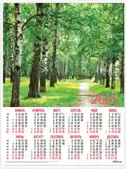 Золотистый хаки листовой календарь на 2025 год А2 50 видов. Символ года.Природа,цветы,животные,горы