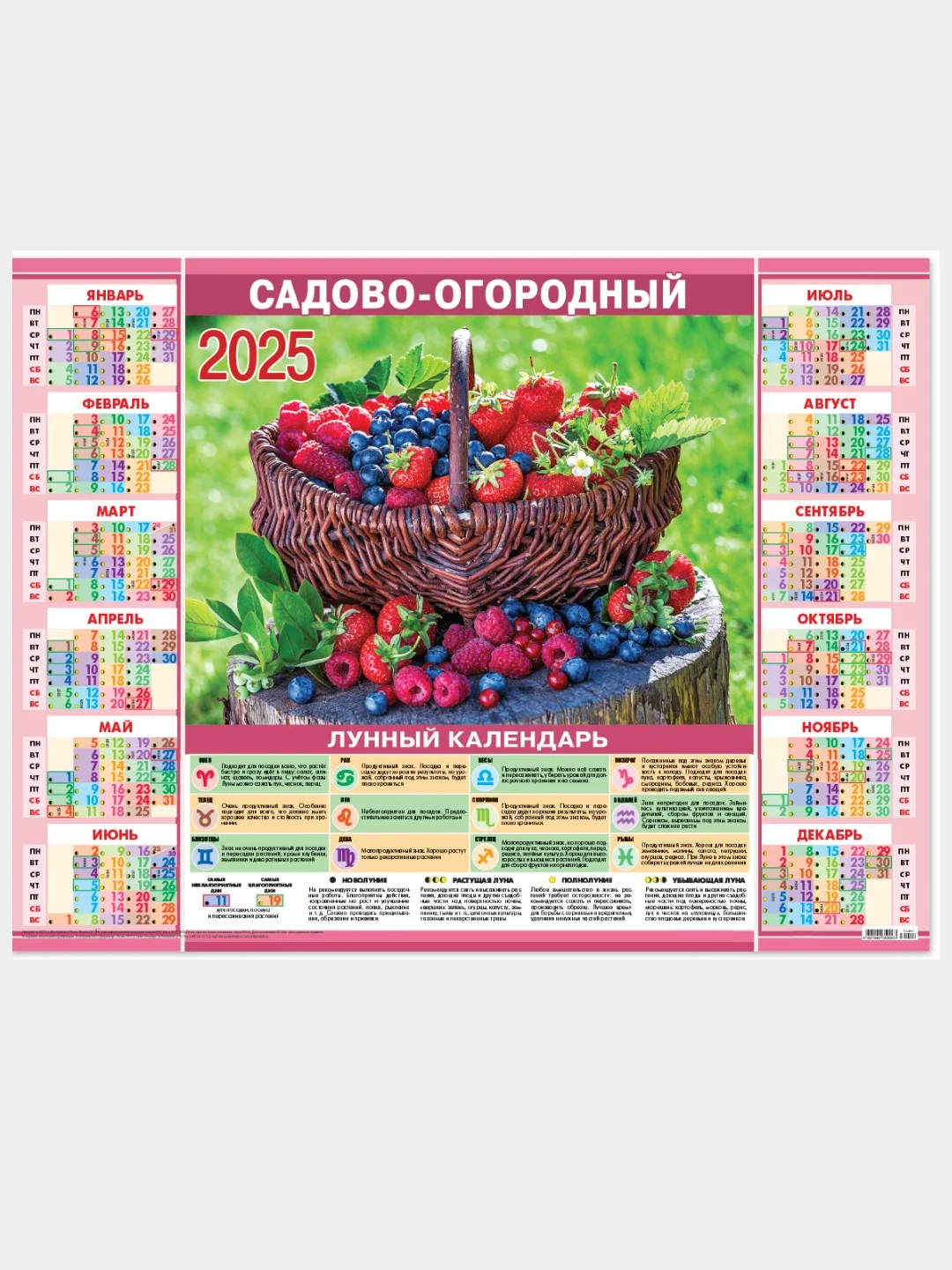 Коралловый листовой календарь на 2025 год А2 50 видов. Символ года.Природа,цветы,животные,горы