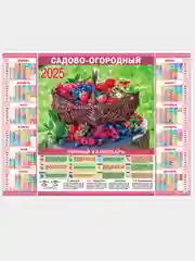 Коралловый листовой календарь на 2025 год А2 50 видов. Символ года.Природа,цветы,животные,горы