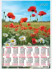 Пастельно-коралловый листовой календарь на 2025 год А2 50 видов. Символ года.Природа,цветы,животные,горы