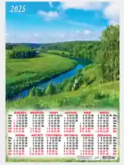 Приглушённый хаки листовой календарь на 2025 год А2 50 видов. Символ года.Природа,цветы,животные,горы