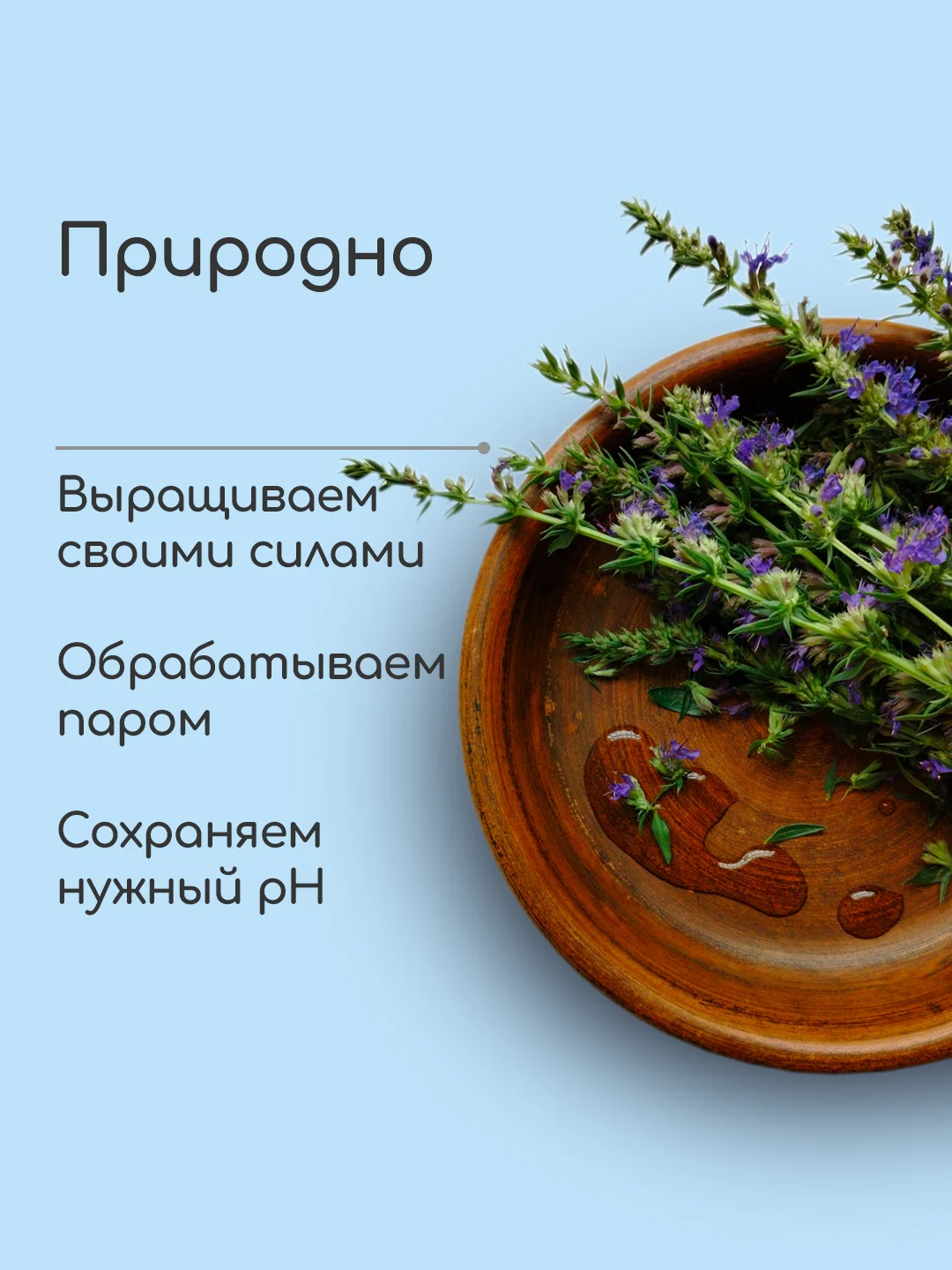 Гидролат Иссоп, тоник для проблемной и чувствительной кожи, craftzabota, 100 мл