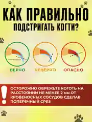 Черный когтерез-ножницы для кошек и собак малых пород, секатор, груминг, стрижка когтей, кусачка