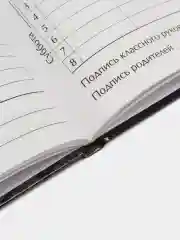 Тёмно-коричневый дневник школьный, для 1-11 классов, в твёрдой обложке