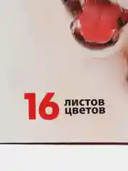 Бумага цветная 16 листов 16 цветов,двусторонняя, А4