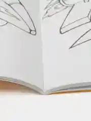 Большая книга раскрасок(F) - Для малышей