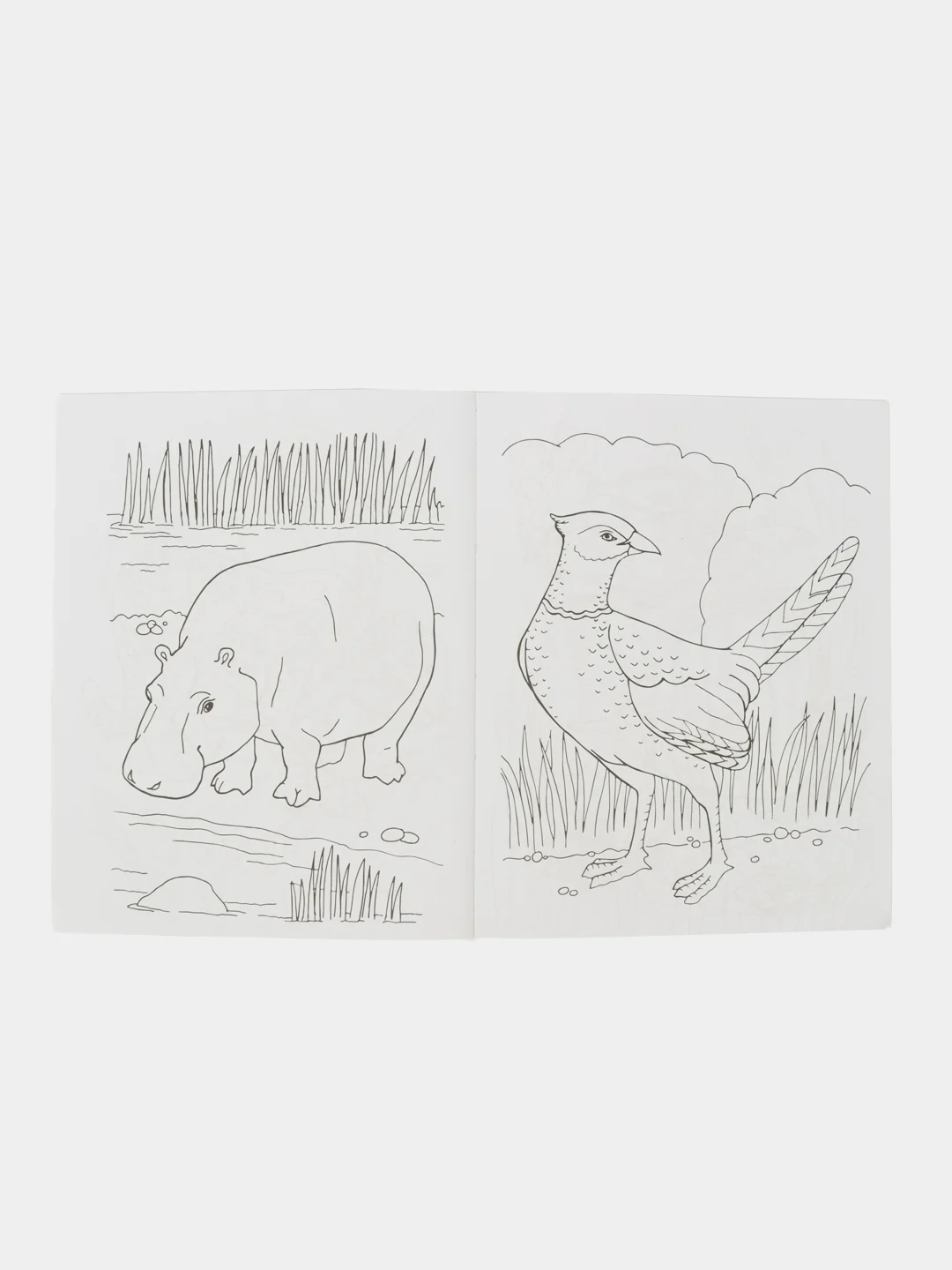 Большая книга раскрасок(F) - Животные