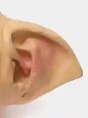 Карнавальная маска Добби