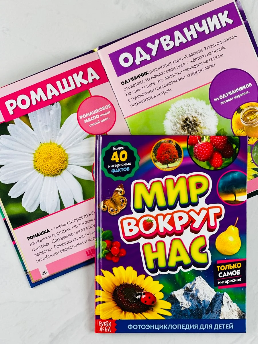 Энциклопедия развивающая для детей мир вокруг природные явления наклейки животные звери
