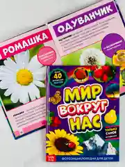 Энциклопедия развивающая для детей мир вокруг природные явления наклейки животные звери